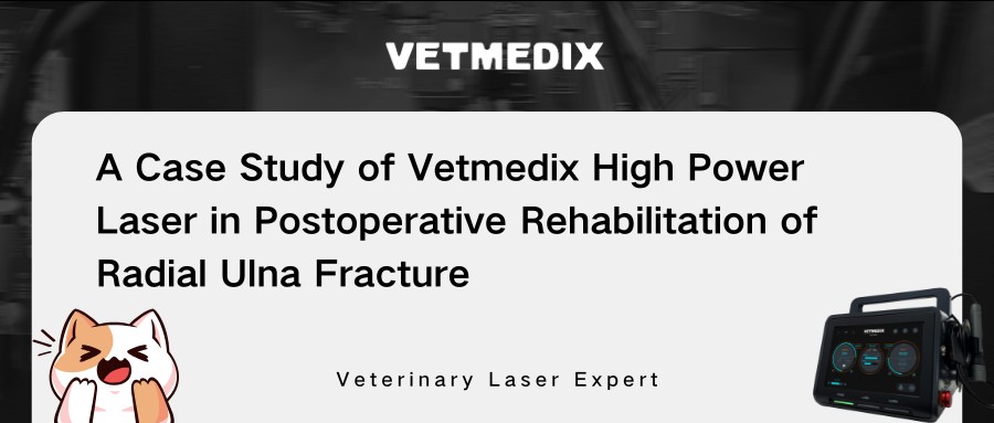 VetMedix Fall Sharing 丨 Hochleistungslasertherapie bei der postoperativen Rehabilitation der radialen Ulna-Fraktur