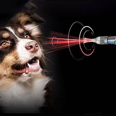 Warum Laser der Klasse IV in der Veterinärmedizin verwenden?